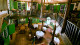 Ronco do Bugio - O contemporâneo restaurante Ronco do Bugio, prioriza o uso de ingredientes naturais em seu cardápio