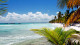 Four Points Sheraton - Que tal viver dias inesquecíveis em meio às belezas de Punta Cana?