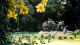 Legado Mí­tico - O Jardim Botânico fica próximo ao jardim japonês, planetário, e ao Parque Tres de Febrero