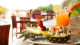 Pelican Eyes Resort e Spa - Comece a sua estada no paraíso brindando, o welcome drink é cortesia! 