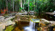 Amazon Ecopark Jungle - Píer flutuante para embarque e desembarque, quatro piscinas naturais... 