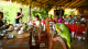 Amazon Ecopark Jungle - E até no snack bar e no restaurante, onde são servidas as refeições, a natureza se faz presente.