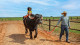 Barretos Country Resort - A primeira parada é na minifazendinha, com passeio a cavalo, de charrete, no touro Pavão e na búfala Xuxinha.