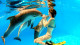 Reflect Cancun Resort & SPA - Aproveite a estada e o destino! A menos de 3 km diversos parques possibilitam a experiência de nadar com golfinhos.
