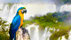 Continental Inn - Além da usina, não deixe de visitar as Cataratas do Iguaçu e o Parque das Aves, logo em frente. 