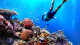 Sunscape Sabor Cozumel - O destino é referência pelo mundo subaquático! Há mergulhos para todos os níveis de experiência.