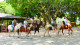 Hotel Estância Barra Bonita - E cavalos! Os hóspedes podem fazer passeios a cavalo e de charrete, mediante custo à parte.