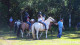 Hotel Fazenda Itaytyba - Os hóspedes também podem estreitar o contato com a natureza em passeios a cavalo.