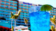 Hard Rock Cancun - Dois deles se destacam, pois estão, literalmente, dentro d’água. Companhia perfeita para os mergulhos! 