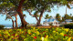 Magdalena Grand Beach - No resort há um programa de atividades para que você aproveite tudo deste paraíso. 