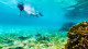 Butterfly House Bahia - O aquário natural proporcionado pelo mar azul é digno de um mergulho. Muitos peixes e corais estão à espera!