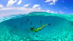 Occidental Punta Cana - Os aquários naturais são perfeitos para o snorkeling, experiência única nas translúcidas águas dominicanas!