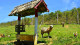 Porthal das Videiras - Ainda na propriedade há uma minifazenda com coelhos, ovelhas, gansos e marrecos. 