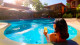 Pousada Paraíso Ecológico - Na pousada, os hóspedes aproveitam a piscina ao ar livre com hidromassagem.