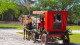 Parque do Avestruz - Até mesmo andar de carruagem está no leque de opções durante a jornada.