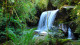 Refúgio Mantiqueira - Uma jornada com lazer inesquecível! Tome um banho de cachoeira e revigore-se.