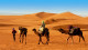 Riad Douceur Mandarine - Que tal fazer um passeio com camelos pelo deserto de Marrocos? Será memorável!