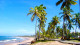 Sauipe Resorts Ala Terra -  A jornada é à beira-mar, a cerca de 85 km de Salvador, e o ritmo é ditado pela diversão.