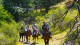 The Singular Patagonia - Ou aproveite cavalgadas e trilhas nos campos verdes em meios às montanhas geladas.